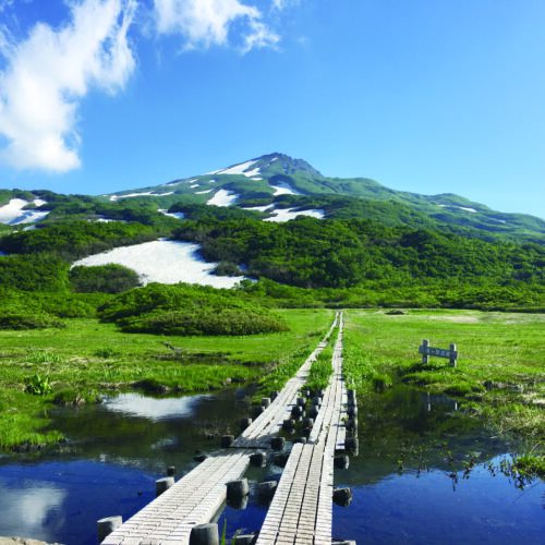 秋田県由利本荘市の竜ケ原湿原は、鳥海山の登山ルート・矢島口の車道終点、五合目の祓川（はらいかわ）にある高層湿原です。多くの高山植物が見られ、中には非常に珍しい植物もあります。湿原の散策路を進むと冷泉の湧く池があり、昔は登山者が祓川神社に祈願して、ここで身体を浄めて登山したといわれています。