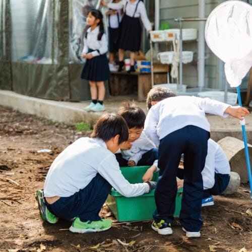 男の子が夢中になっていたのは自分たちで捕まえてきたムカデの飼育／富山県舟橋村