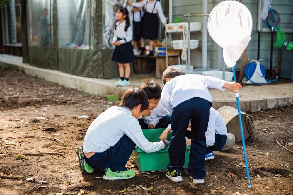 男の子が夢中になっていたのは自分たちで捕まえてきたムカデの飼育／富山県舟橋村