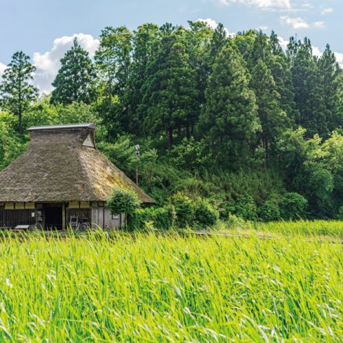 中池見にある築約100年の古民家／福井県敦賀市