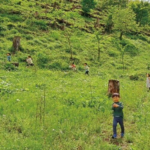 若葉萌える山をお散歩。道がたくさんつけられ、子どもたちは「めいろ山」と呼ぶ。里山保育やまっこかわっこ／東京都檜原村