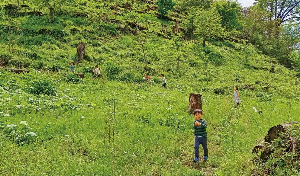 若葉萌える山をお散歩。道がたくさんつけられ、子どもたちは「めいろ山」と呼ぶ。里山保育やまっこかわっこ／東京都檜原村