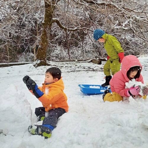 雪が降る日は少ないけれど、里に降れば山間の村では少し多めに積もる。ソリ、雪だるま、かまくら……。遊びは尽きない。里山保育やまっこかわっこ／東京都檜原村