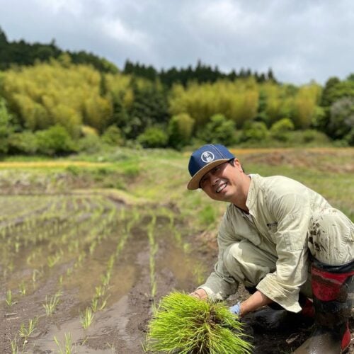 岡山県津山市の田んぼで田植えをする河本準一