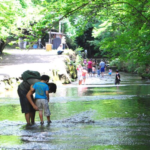 大分県宇佐市の岳切渓谷は、渓谷の先端にある落差27mの大飛の滝までの約2kmが、全国でも珍しい水流遊歩道になっています。さわやかな風と、ひんやり冷たい水の中、素足で沢歩きを楽しめます。