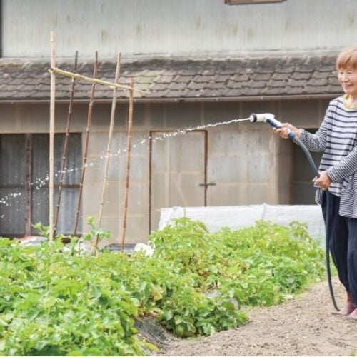 季節の野菜やハーブに彩られ、毎日が充実のセカンドライフ【兵庫県佐用町】