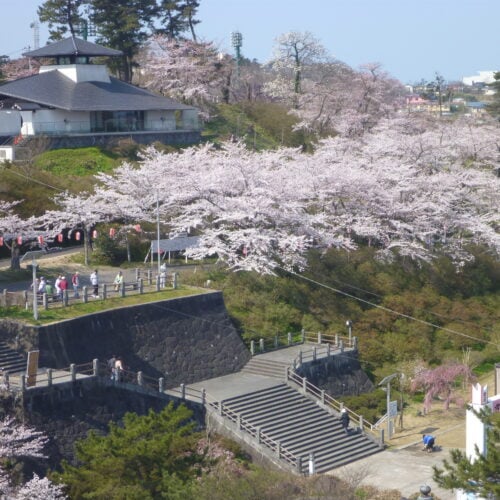 秋田県由利本荘市の本荘公園は、かつて本城豊前守満茂が築いた城址を基に、大正時代に整備された歴史と自然が融合した公園です。春には桜が咲き誇り、桜祭りが開催され多くの市民が訪れます。