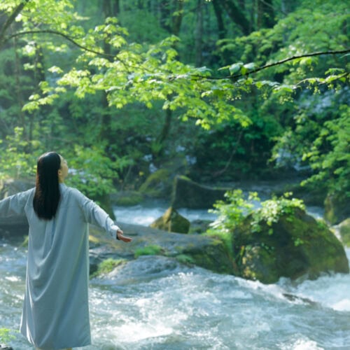 青森県奥入瀬渓流で、澄んだ空気・ひんやり・緑に囲まれ苔を詳しく知る苔さんぽ