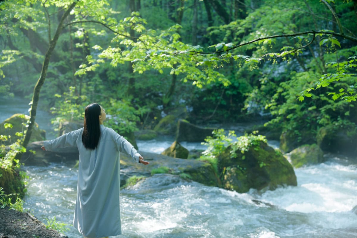 青森県奥入瀬渓流で、澄んだ空気・ひんやり・緑に囲まれ苔を詳しく知る苔さんぽ