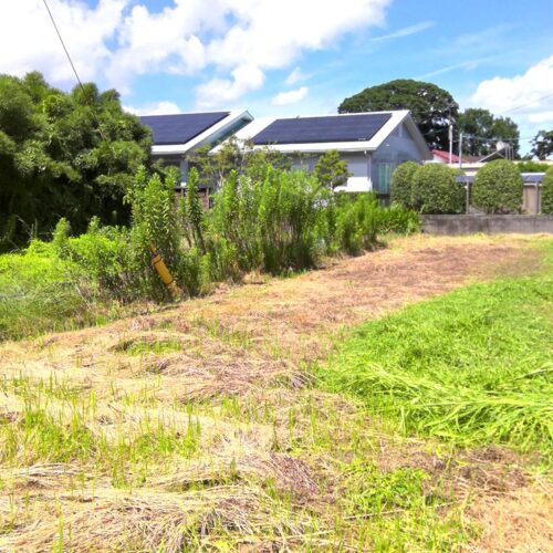 約200㎡の広大な畑が隣接しています。肝付町の恵まれた自然環境のなかで、憧れの自給自足を目指す生活が叶います。