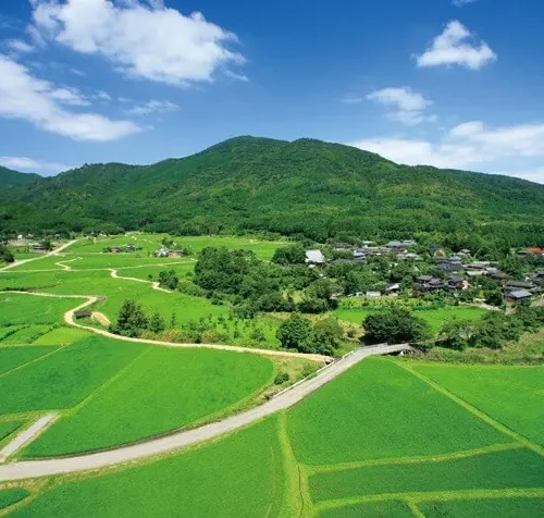 国東半島の北西部、周防灘（すおうだな）に臨む豊後高田市は、瀬戸内海国立公園や国東半島県立自然公園の一部を構成するなど自然豊かなまちとして知られています。田染荘は、国の重要重要文化的景観に選定され、1200年前の田園風景が色濃く残っています。