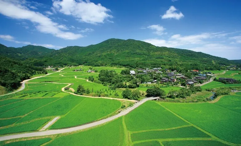 国東半島の北西部、周防灘（すおうだな）に臨む豊後高田市は、瀬戸内海国立公園や国東半島県立自然公園の一部を構成するなど自然豊かなまちとして知られています。田染荘は、国の重要重要文化的景観に選定され、1200年前の田園風景が色濃く残っています。