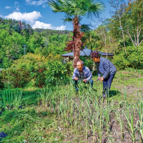 長野県飯田市の民泊「萬龍」の家庭菜園。ゲストはここで野菜を収穫し、食材に利用できます