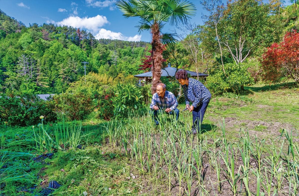 長野県飯田市の民泊「萬龍」の家庭菜園。ゲストはここで野菜を収穫し、食材に利用できます