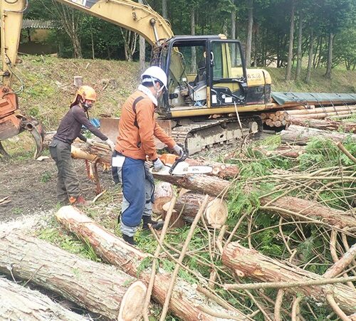 岡山県津山市が、林業の基礎を学べる「援林塾」の受講生を募集