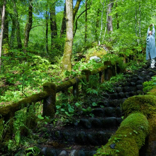 渓流の石の上に多様な蘚苔類が生育する景観は、奥入瀬渓流を代表する景観のひとつとなっていています