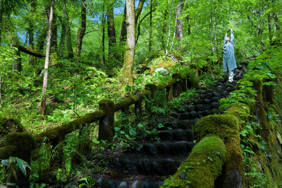 渓流の石の上に多様な蘚苔類が生育する景観は、奥入瀬渓流を代表する景観のひとつとなっていています