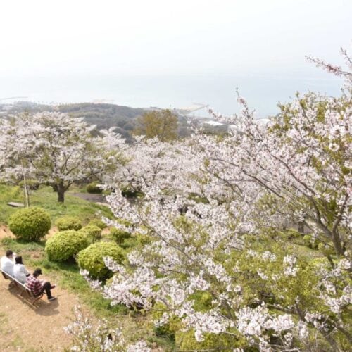 山口県山陽小野田市の竜王山公園は、市民の憩いの場です