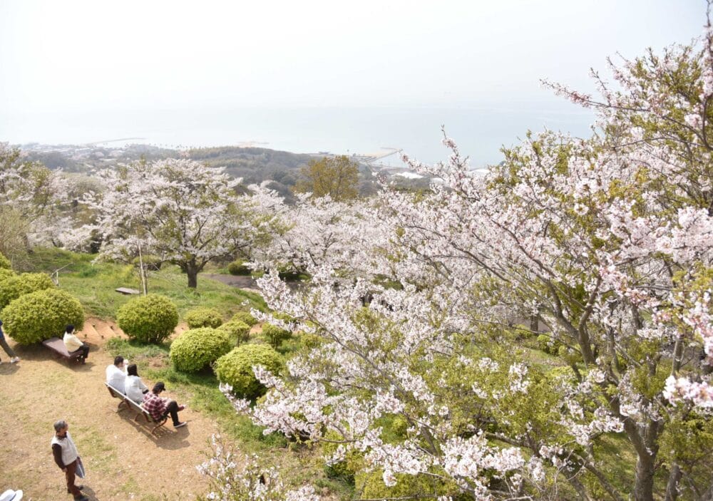 山口県山陽小野田市の竜王山公園は、市民の憩いの場です