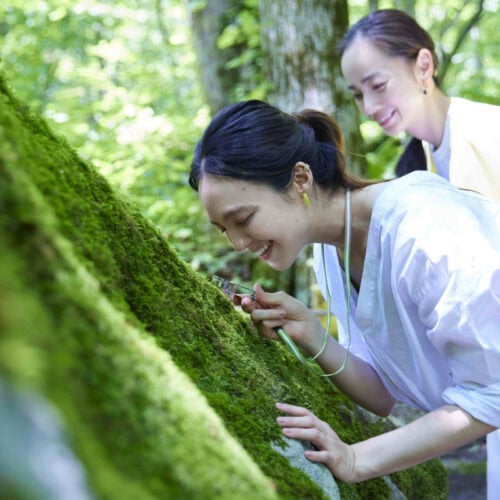 青森県にある星野リゾート奥入瀬渓流ホテルで行われている苔づくしの宿泊プランが「おいらせ苔旅」