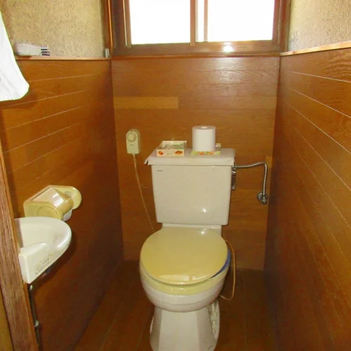 大分県宇佐市の物件のトイレは、簡易水洗の汲取り式トイレです。