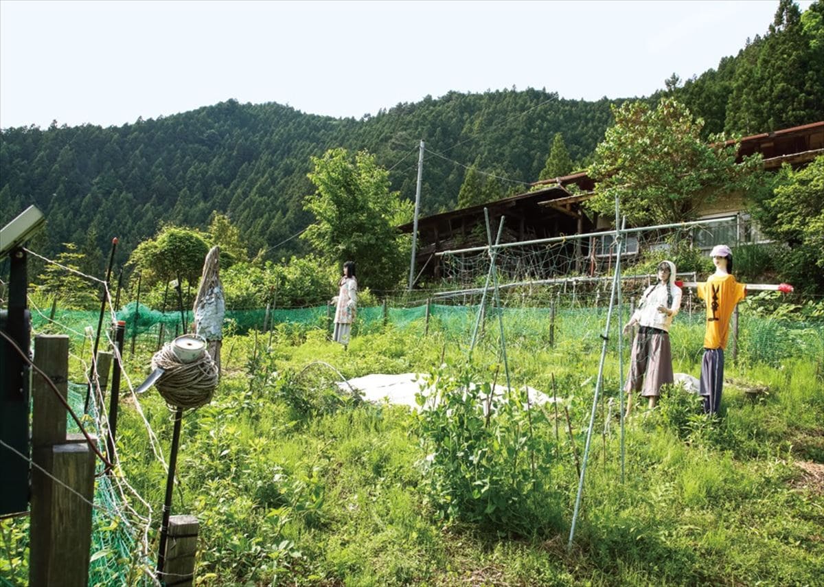 東京都檜原村のポツンと一軒家。家の裏の畑では、さまざまな野菜を栽培している