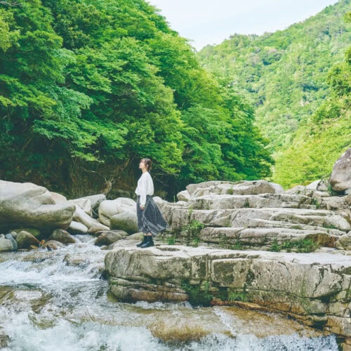 「森の芸術祭　 晴れの国・岡山」は岡山県北部の12市町村を舞台に開催されます。参加アーティストは国外18名、国内：25名（岡山6名）で12の国と地域 42組 43名。国内からは森山未來、蜷川実花、坂本龍一と高谷史郎ら著名アーティストの作品がズラリ