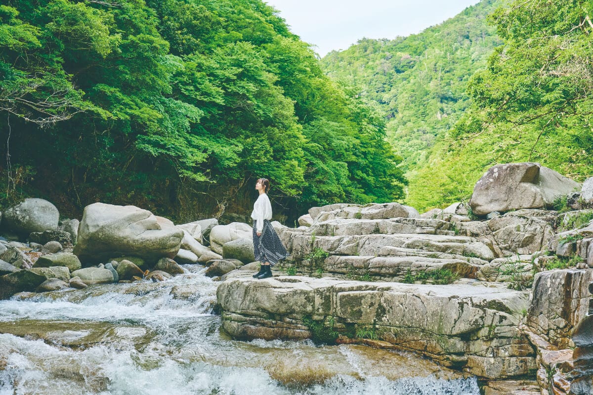 「森の芸術祭　 晴れの国・岡山」は岡山県北部の12市町村を舞台に開催されます。参加アーティストは国外18名、国内：25名（岡山6名）で12の国と地域 42組 43名。国内からは森山未來、蜷川実花、坂本龍一と高谷史郎ら著名アーティストの作品がズラリ