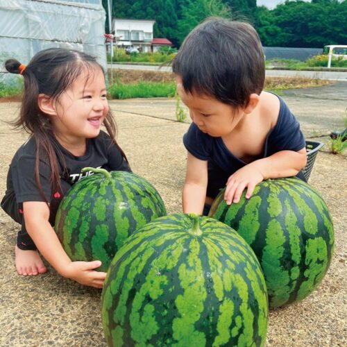 最終日に急遽企画してくれた野菜の収穫体験／秋田県由利本荘市