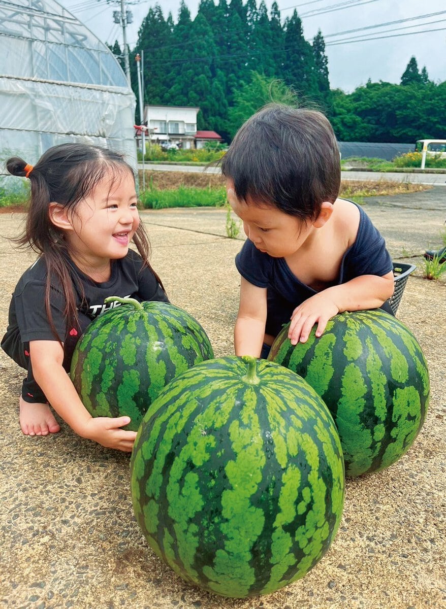 最終日に急遽企画してくれた野菜の収穫体験／秋田県由利本荘市