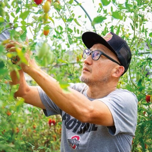 愛媛県今治市で地域おこし協力隊となった山本寿さん。養鶏のほかトマトも栽培しています