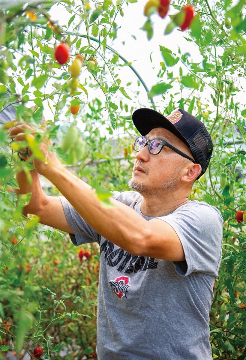 愛媛県今治市で地域おこし協力隊となった山本寿さん。養鶏のほかトマトも栽培しています