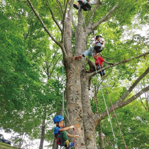 福島県の各地で行われるツリークライミング®体験会