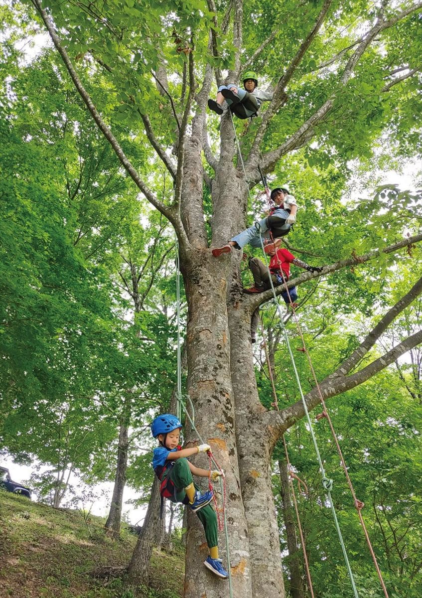 福島県の各地で行われるツリークライミング®体験会