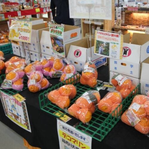 熊本県宇土市の「道の駅 宇土マリーナ 」は 車で8分ほどのところにある施設です。新鮮な海産物や農産物を手に入れることができます。