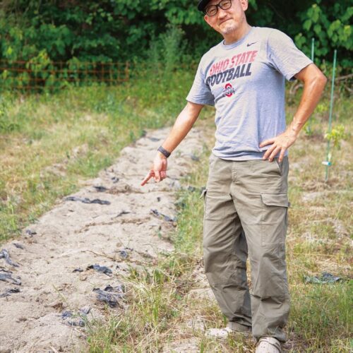 サツマイモを植えた畑は、イノシシに食べられ跡形もない状態になりました