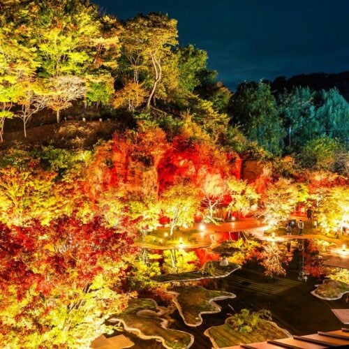 屋上展望台から眼下に望む、紅く彩られた松島離宮庭園の絶景。