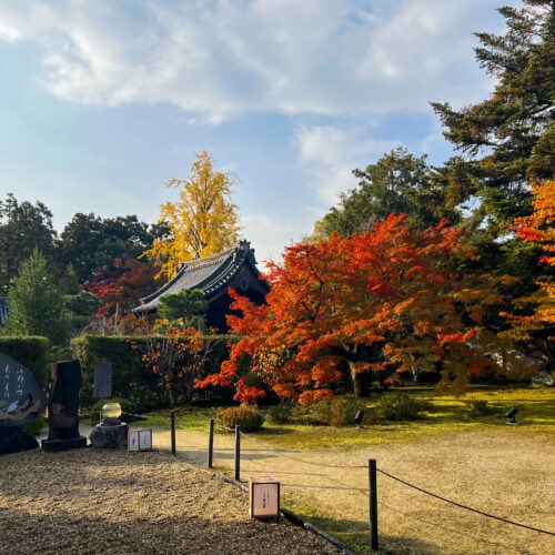 京都府京都市山科区にある「真言宗大本山 隨心院」は、日本の美人の代名詞といわれる小野小町が晩年を過ごした地として知られる寺院で、秋が深まる季節になると紅葉が赤や橙に彩ります。