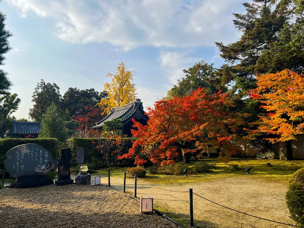 京都府京都市山科区にある「真言宗大本山 隨心院」は、日本の美人の代名詞といわれる小野小町が晩年を過ごした地として知られる寺院で、秋が深まる季節になると紅葉が赤や橙に彩ります。