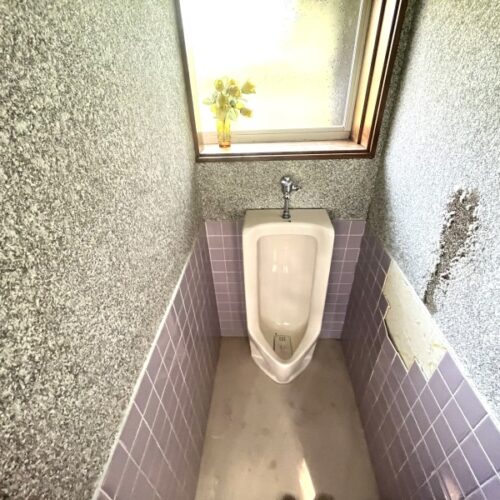 男性用トイレも設置されています。