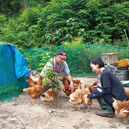 愛媛県今治市で地域おこし協力隊となった山本寿さん。自宅の庭の養鶏スペースで