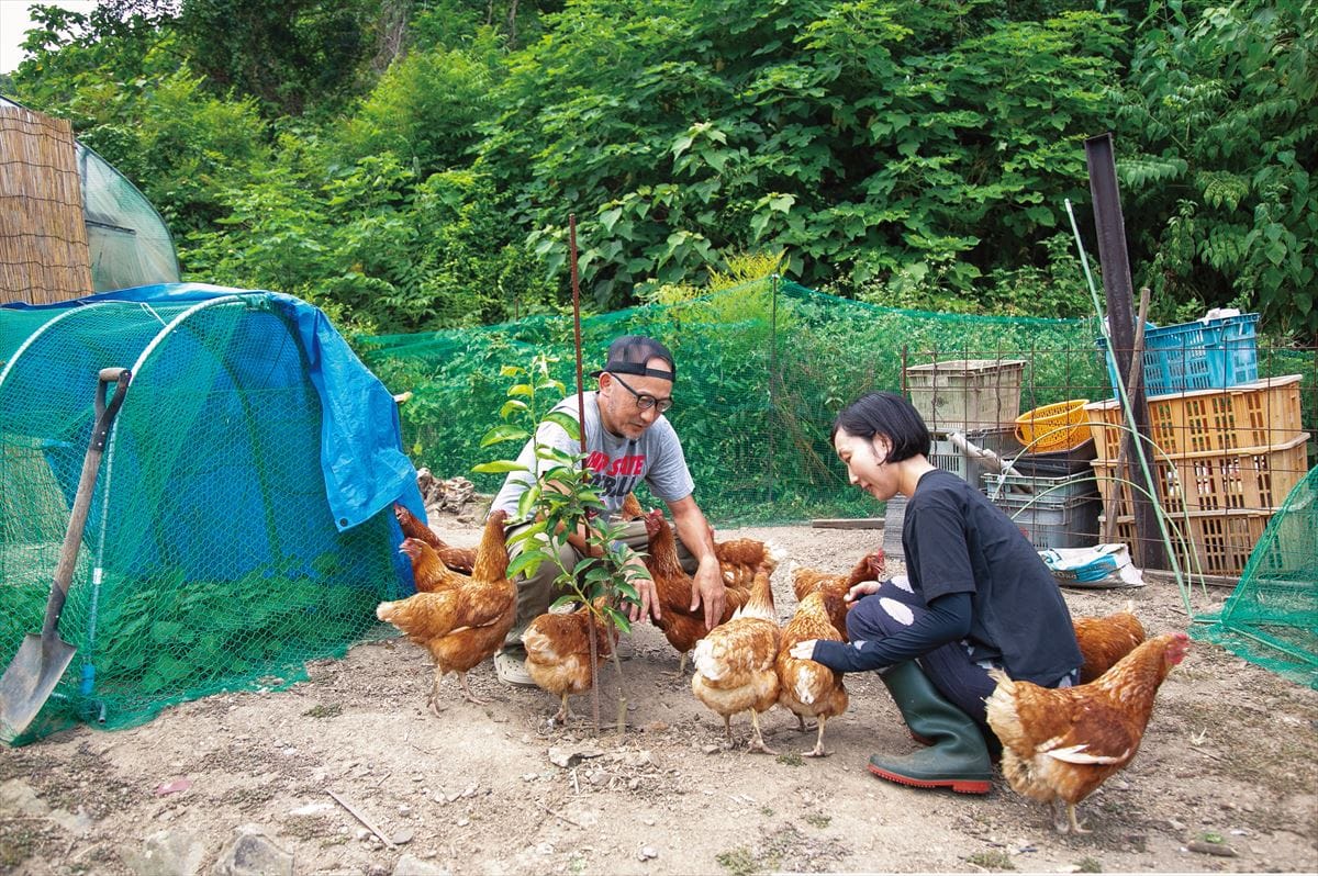 愛媛県今治市で地域おこし協力隊となった山本寿さん。自宅の庭の養鶏スペースで