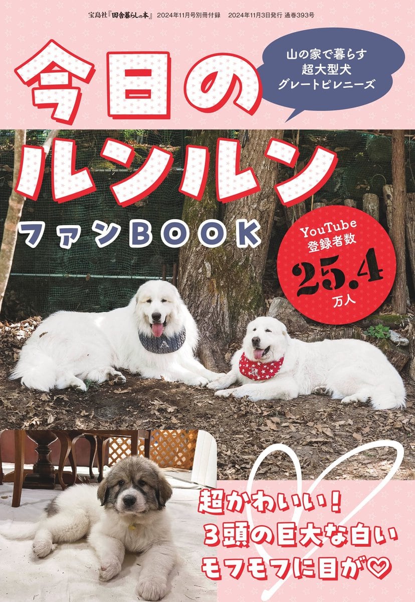 田舎暮らしの本2024年11月号の別冊付録は「今日のルンルン ファンBOOK」