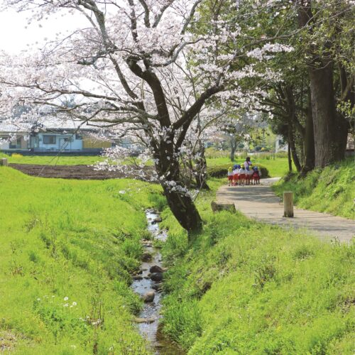 宮崎県西都市の「記紀の道」は、西都市に語り継がれる日向神話の伝承地をつなぐ、歩いて１時間の散歩道です。美しい自然と古代のロマンを感じられるスポットを巡りながら、古代日本の歴史と神話をたどることができます。