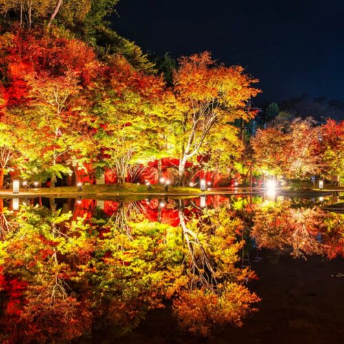 水面に映し出さる色鮮やかな紅葉の姿は、圧巻の美しさです。