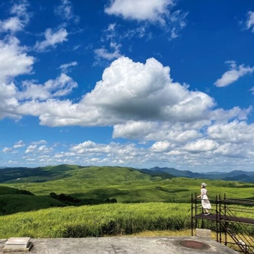 秋吉台のカルスト台地。広大な草原に、石灰岩が浸食され、すり鉢状にへこんだドリーネが点在する。