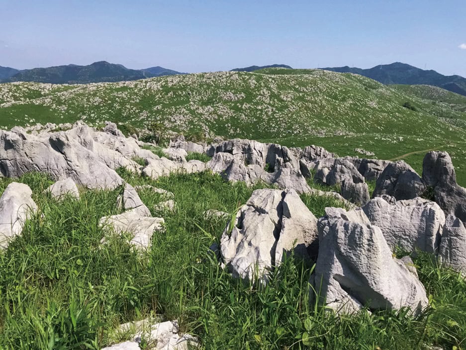 草原に白い石灰岩が顔を出す秋吉台のカルスト台地。特別天然記念物に指定されている。