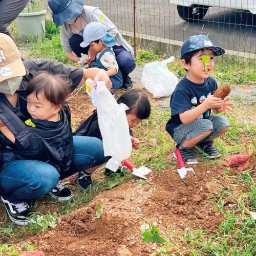 対象は1歳ごろから保育所入所までの子と家族。秋は芋掘りとクッキングを体験／福井県高浜町