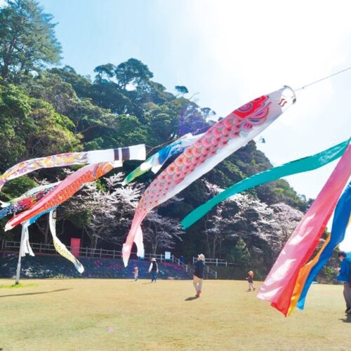 城山公園／福井県高浜町