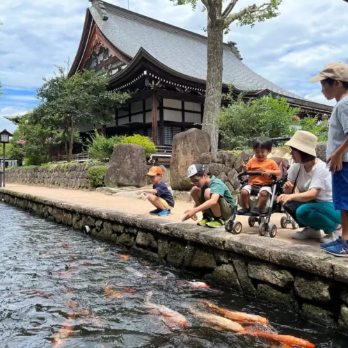 飛騨市の人気スポット「瀬戸川と白壁土蔵街」で鯉に餌をあげる観光客